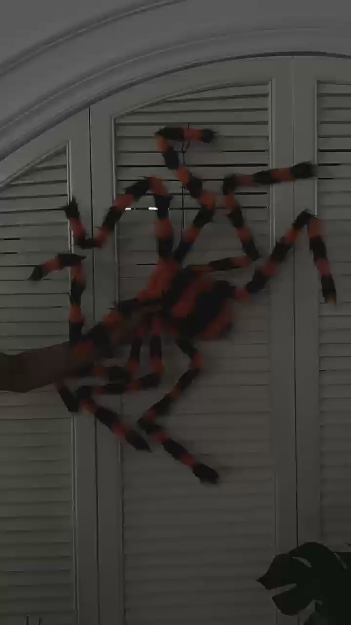 Halloween Spider Web Lights demonstration